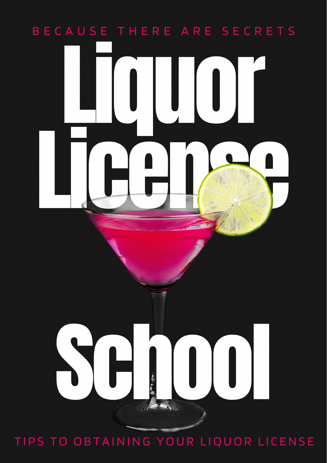 Liquor License School E-book
