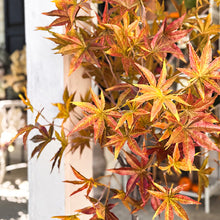 Load image into Gallery viewer, 52 Inch Potted Foliage Maple Leaf Faux Tree
